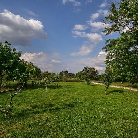 Ankin Dvor Villa Galovac  Ngoại thất bức ảnh